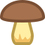 Cogumelo icon