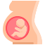 Embarazada icon