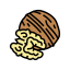 Walnut icon