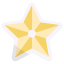 Christmas Star icon