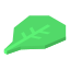 Spinach icon