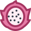 Dragon Fruit icon