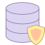 Protezione dati icon