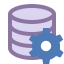 Configuration des données icon