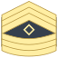 Первый сержант Армии США icon