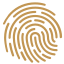 Fingerprint icon