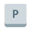 tecla p icon