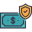 money shield icon