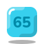 (65) icon