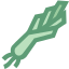 Leek icon