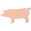 Schwein icon