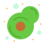 Avocado icon