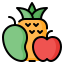 Fruits icon