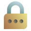 Password icon