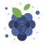 Grapes icon