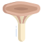 Camelina Mushroom icon