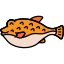 Puffer Fish icon