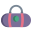 Borsa Vista posteriore icon