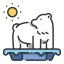 Arctic icon