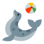 Seal Circus icon