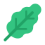 Oak Leaf icon