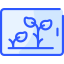 Growth icon