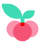 Christmas Berry icon