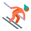 горные лыжи-тип кожи-4 icon