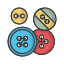 Clothes Buttons icon