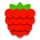 Raspberry icon