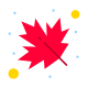 Maple Leaf icon