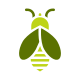 Apiary icon