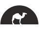 Camel icon