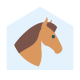 Pferdestall icon