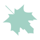 Maple leaf icon