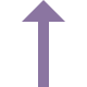 Up Arrow icon