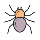 Spinne icon