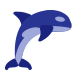 Orca icon