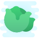 Cabbage icon