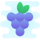 Grapes icon