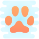 Cat Footprint icon