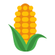 Corn icon