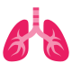 Pulmones icon