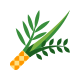 Lulav icon