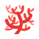 Coral icon