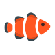 Pesce pagliaccio icon