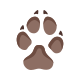 Dog Paw icon