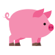 Porc icon