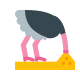 Cabeza de avestruz en la arena icon