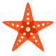 Starfish icon